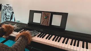 Grimes - Genesis (piano cover) with werewolf hands