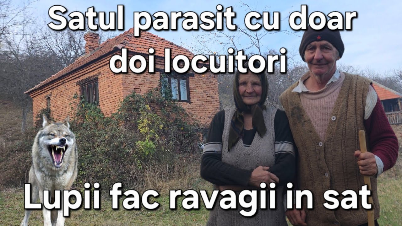 Satul parasit cu doar doi locuitori/ Lupii fac ravagii / Cum se trăiește in mijlocul padurilor ? 