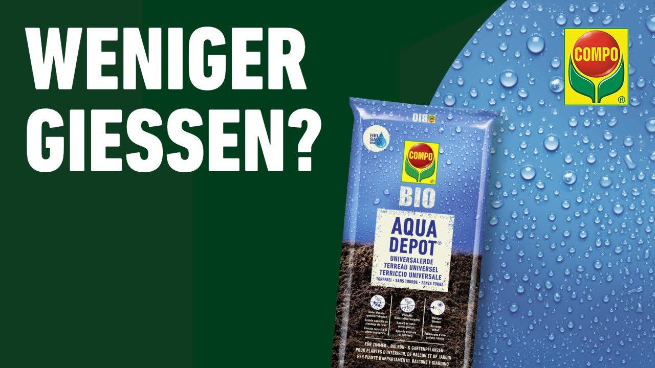 zimmerpflanzen kaufen dresden Großer Pflanzenverkauf Pflanzen für alle main image 0