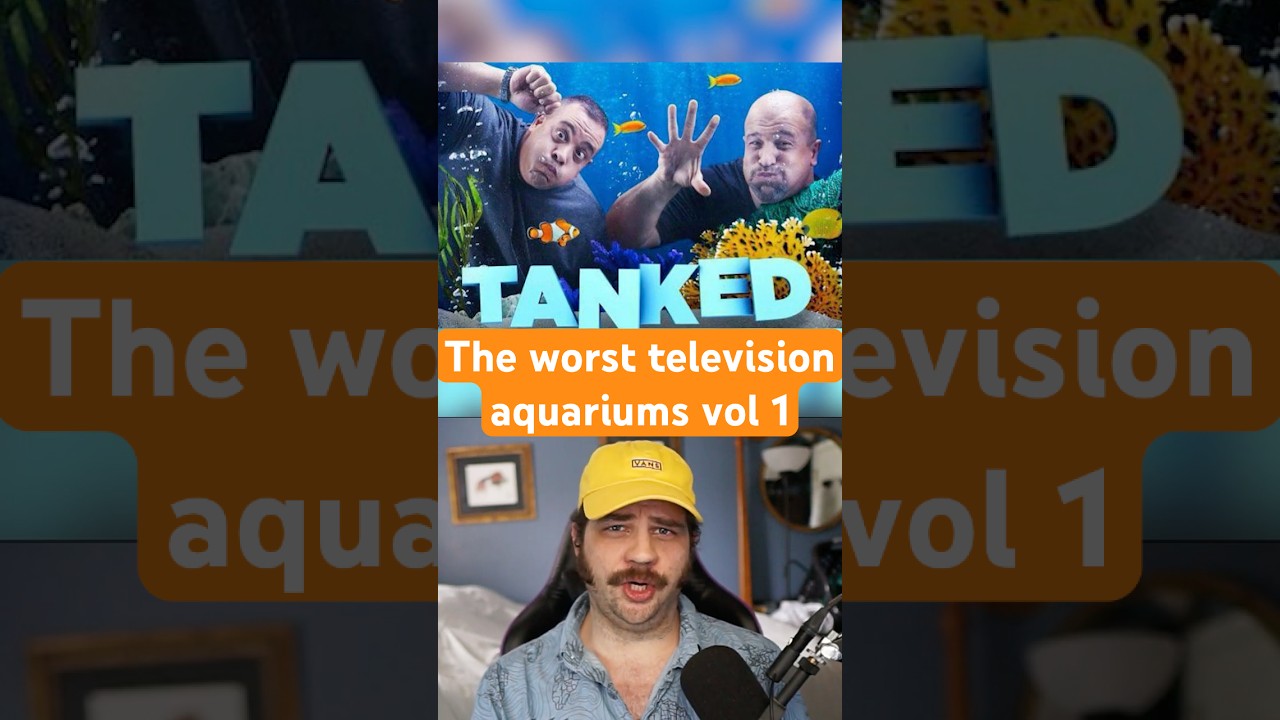 Tanked was a scam