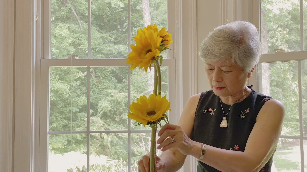 Lin Ko Ikebana # 1- Sunflower
