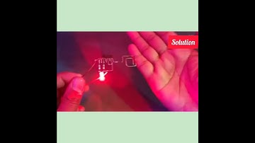 Organism detector homemade | Solution |