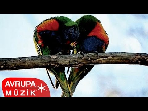 Hüdai Şahin - Yaşadık Kardeş Gibi (Full Albüm)