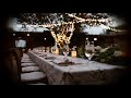 Summer night guitar  wedding party celebration ambience