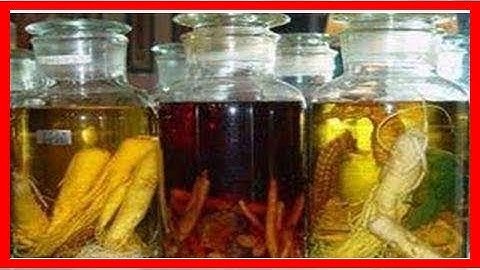 補腎藥酒可不能隨便泡，必須按配方，16種補腎藥酒配方大公開 - 天天要聞