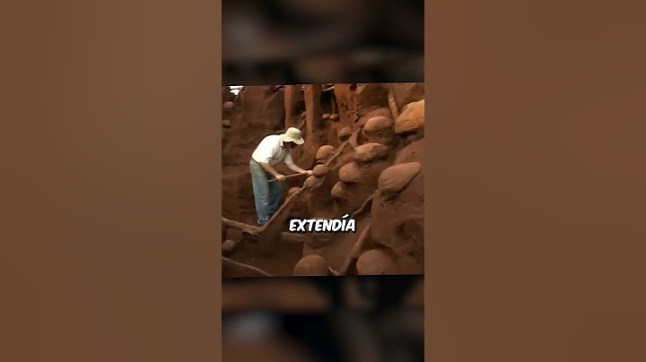 ¿Qué tan grande puede ser una colonia de hormigas? 😨#curiosidades #animales #satisfaction