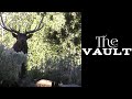Idaho Archery Bull Elk Hunt | The Vault