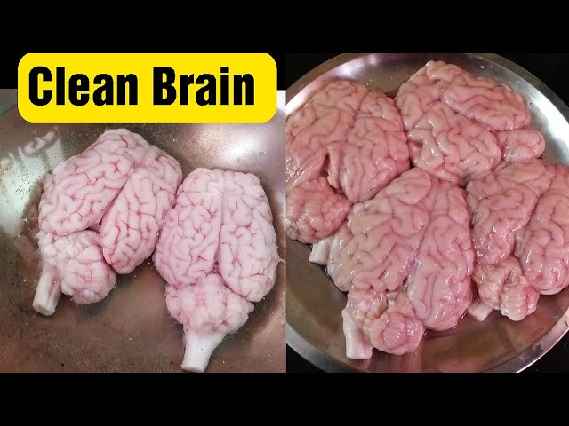 How to clean brain - English Version / ஈஸியா மூளை சுத்தம் செய்வது எப்படி | Food Tamil - Samayal & Vlogs