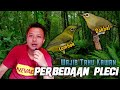 Perbedaan pleci dakbal dan pleci lombok !!! Pemula wajib tahu dan paham