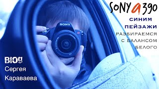 Sony a390 - синим пейзажи разбираемся с балансом белого Sony a390 - синим пейзажи разбираемся с балансом белого