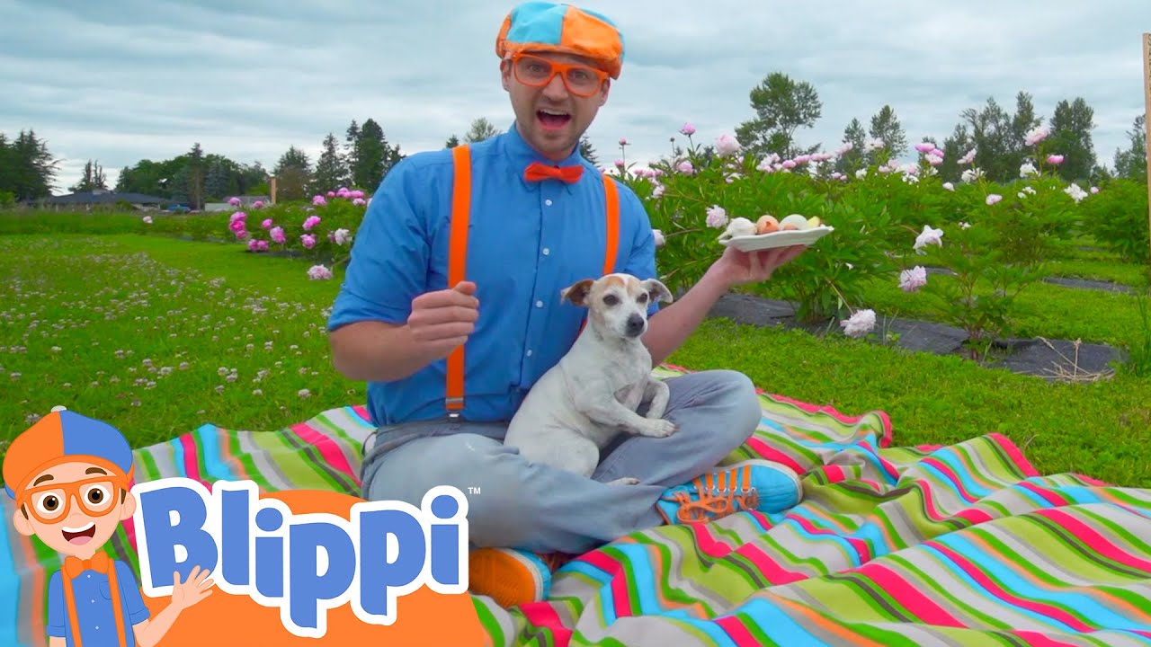 Blippi Visits a Farm and Finds Animals! | Animals for Kids | Animal Cartoons | Learn about Animals