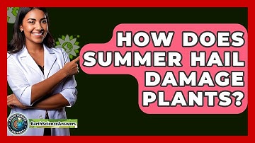 How Does Summer Hail Damage Plants? - Earth Science Answers