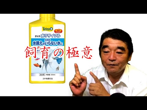 飼育の極意 テトラ水リサイクル検証 Youtube