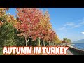 #59 - AUTUMN IN TURKEY - Musim Gugur di Turki  | Seka Park Walk, 16 October 2021