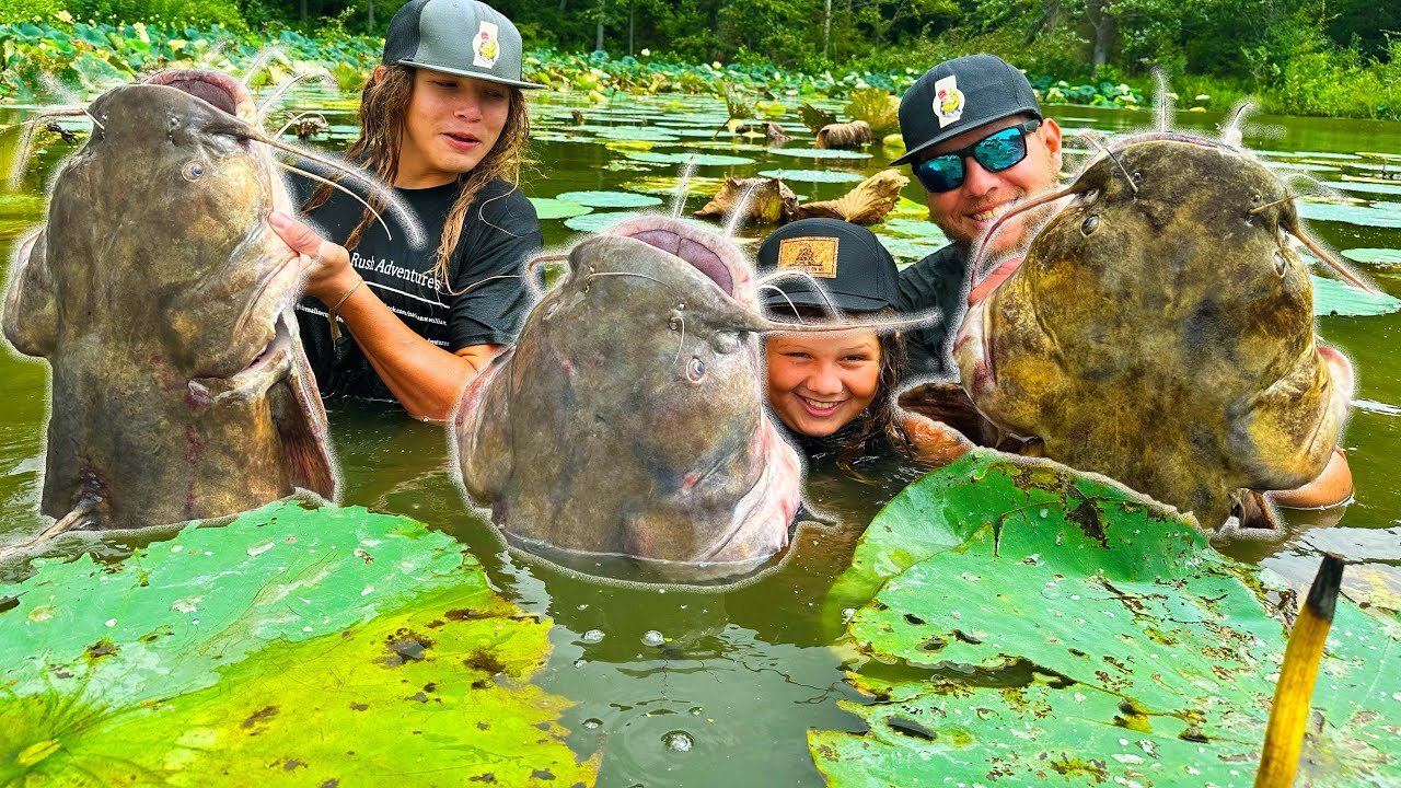 NOODLING GIANT CATFISH IN iLLINOIS! YOU WON'T BELIEVE THE SIZE OF THE FLATHEADS IN STATE #15!