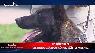 K9 Köpekleri̇ Ankara Gölbaşi Köpek Eği̇ti̇m Merkezi̇
