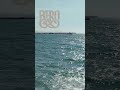 اخر الملكات 
