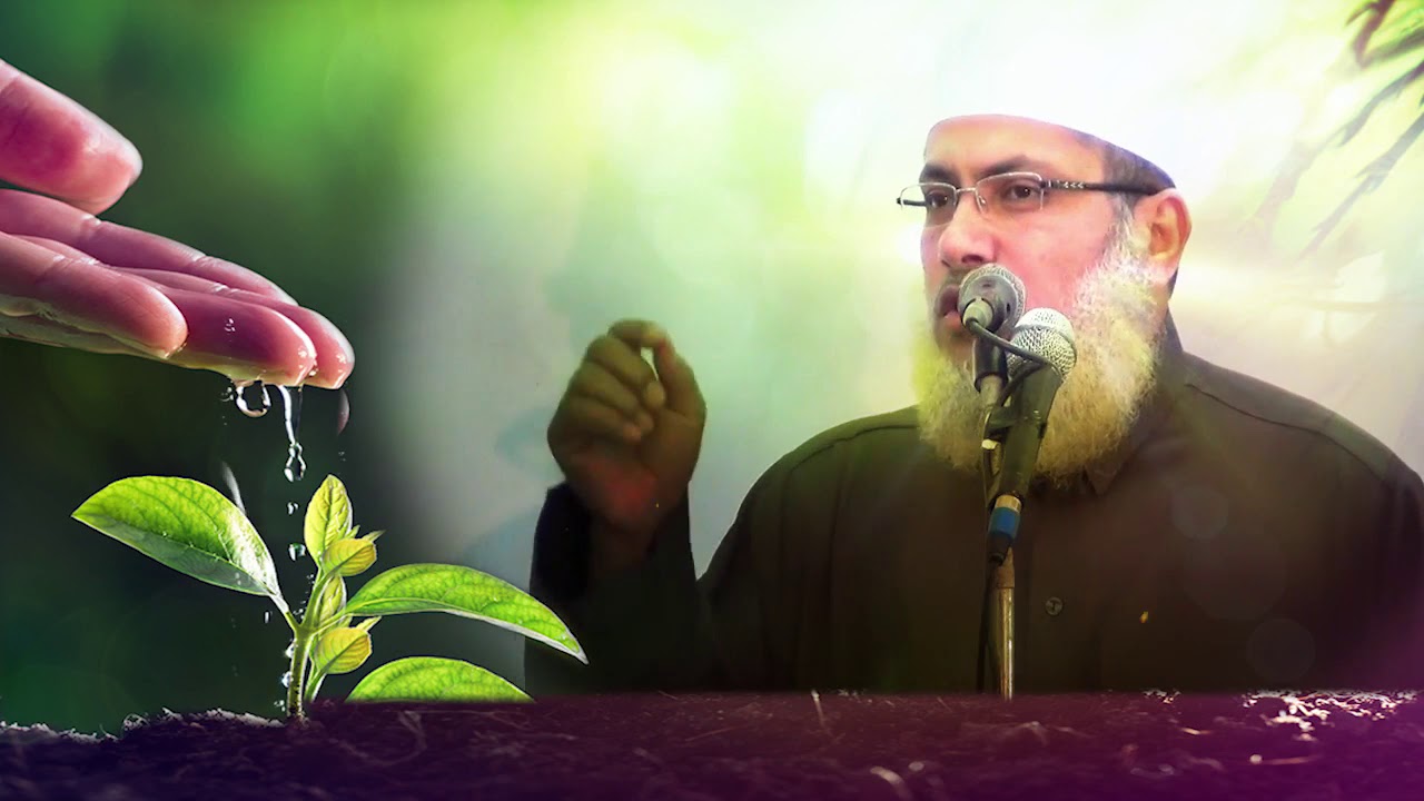 { بكم تبيع أخاك    } مقطع رائع ومهم للشيخ د السيد البشبيشي