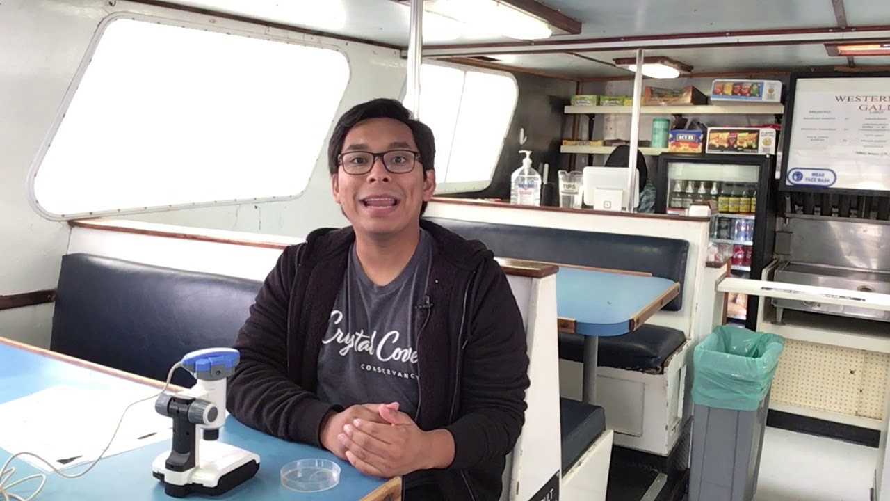 Plankton Data Analysis Introduction