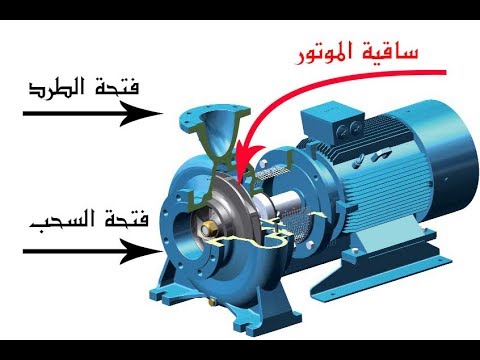 الحصان يساوي كم بار وهل هذا السؤال صحيح