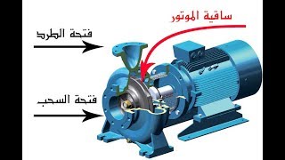 الحصان يساوي كم بار وهل هذا السؤال صحيح؟