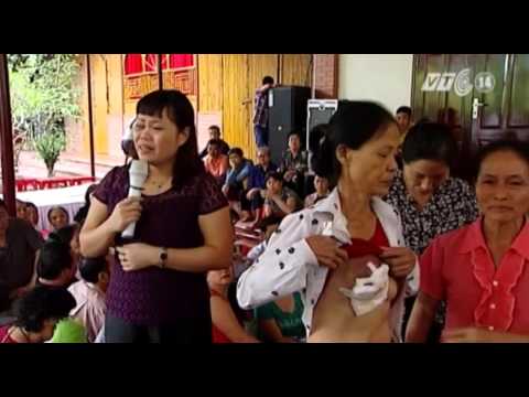 Video: Tại Sao Mèo 