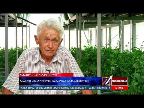 ტკბილი კარტოფილი