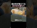 母の手が覚えてるあの日の温もり