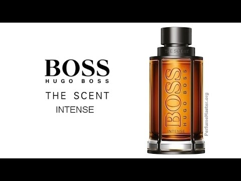 hugo boss perfume the scent intense