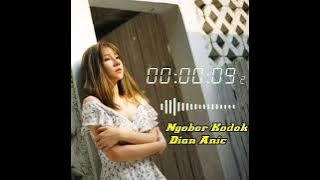 DIAN ANIC TERBARU - NGOBOR KODOK ( LIRIK )