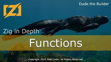 Zig in de diepte: Functies