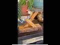 Locally grown plant stands