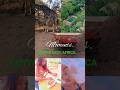 KENYA EAST AFRICA Should we catch a yacht this Christmas? #vacation # #animals