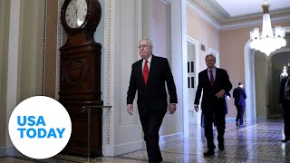 Senate Impeachment Trial of President Donald Trump: Day 2 | USA TODAY