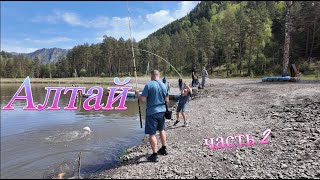 Республика Алтай (часть 2), Прекрасный Камышлинский водопад. Мы нашли Йети. свежая форелька.