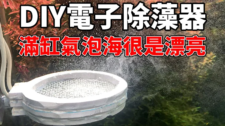 教您用最简单的材料DIY电子除藻器，满缸气泡海很是漂亮。|DIY electronic algae remover. - 天天要闻