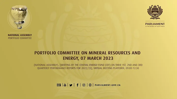 Portfolio Committee on Mineral Resources and Energy, 07 March 2023