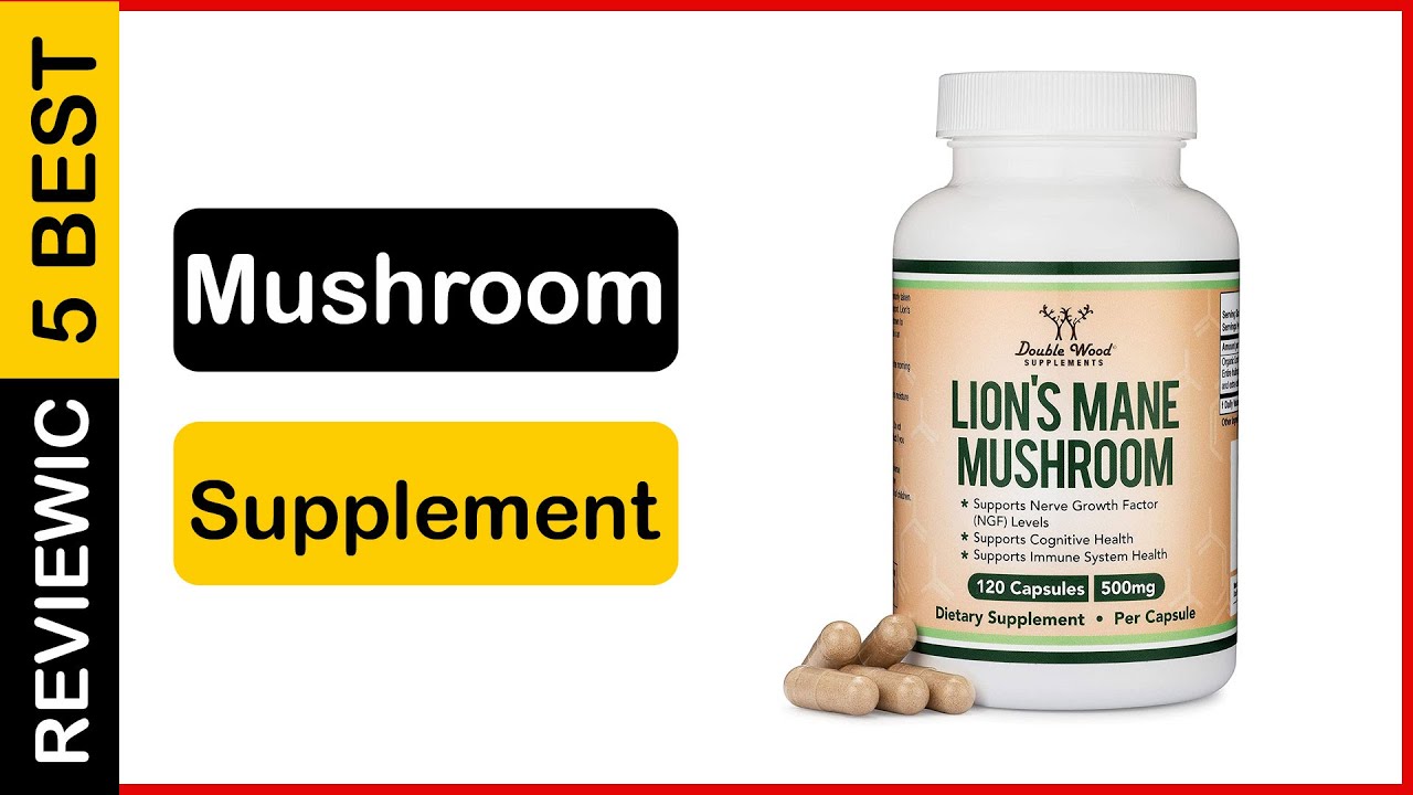 Lion's Mane and Chaga Supplements Review & Top Picks 