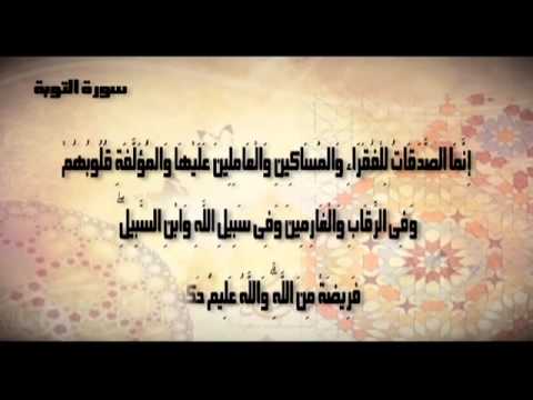إعلان بيت الزكاة والصدقات المصري تحت إشراف شيخ الأزهر