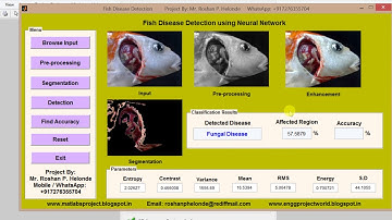 Matlab Code for Fish Disease Detection using Neural Network