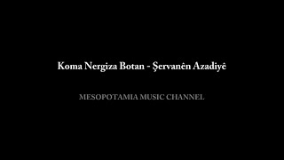 Koma Nergiza Botan - Şervanen Azadiye Resimi