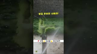 #무선세척기 #고압세척기 #세차용품 감자도 뚫는 수압?! 무선인데 세차장 뺨치는 성능 실화?