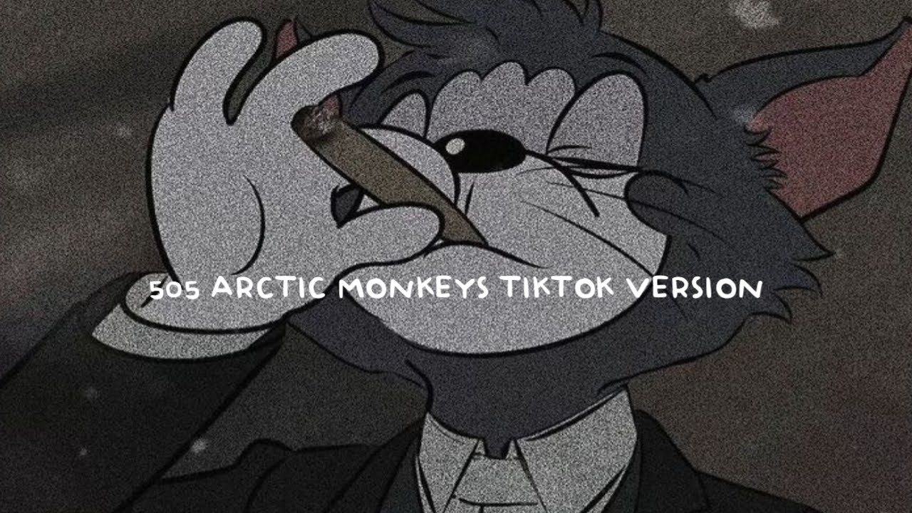 505 arctic monkeys tiktok version