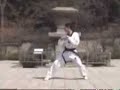 taekwondo