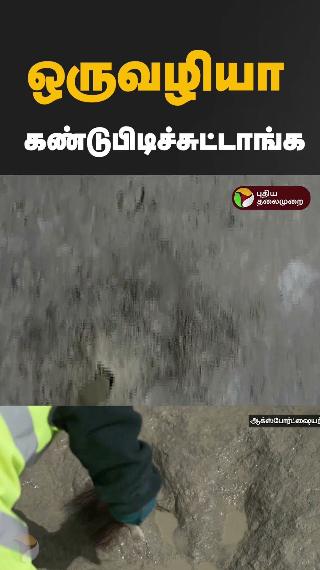 ஒருவழியா கண்டுபிடிச்சுட்டாங்க #shorts #Brittan