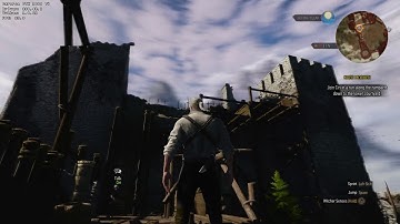 The Witcher 3 DXVK Arch Linux