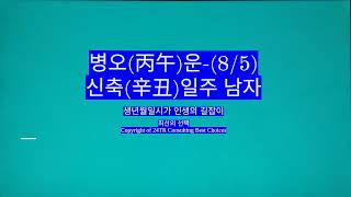 병오(丙午)운-신축일주 남자