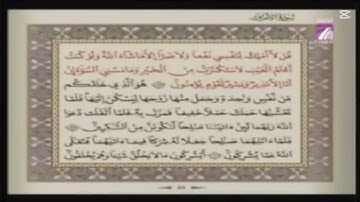 قناة تونس 7 القرآن الكريم الشيخ منذر الجدي سورة الأعراف رواية قالون عن نافع