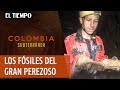 El cementerio fósil del gran perezoso | Colombia Subterránea