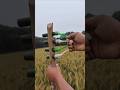 DIY Slingshot Made Easy target #SurvivalDIY #BambooSlingshot #craft #diy #OutdoorHack